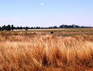 MIDDELBURG EASTERN BYPASS